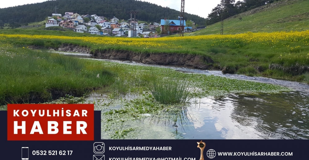 EĞRİÇİMEN YAYLASI BAHARLA CANLANDI