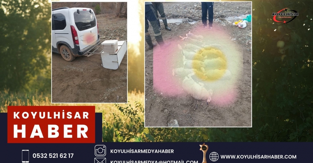 KOTA FAZLASI AVCILIĞA JANDARMA İZİN VERMEDİ