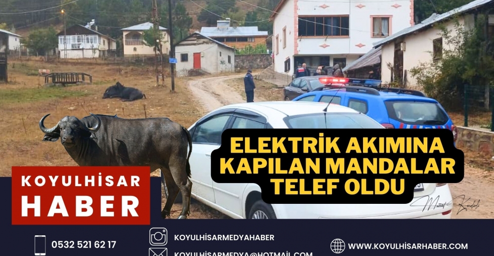 MANDALAR ELEKTRİK AKIMINA KAPILDI