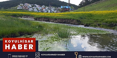 EĞRİÇİMEN YAYLASI BAHARLA CANLANDI