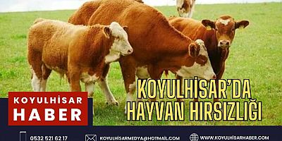 KOYULHİSAR'DA HAYVAN HIRSIZLIĞI