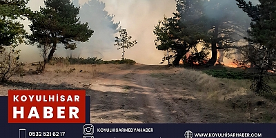 KOYULHİSAR'DA ORMAN YANGINI