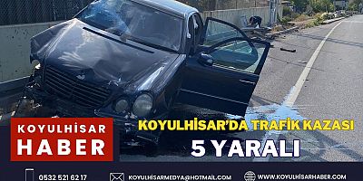 KOYULHİSAR'DA TRAFİK KAZASI : 5 YARALI