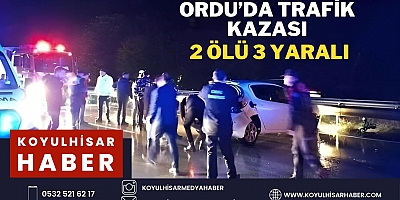 ORDU'DA TRAFİK KAZASI : 2 ÖLÜ 3 YARALI