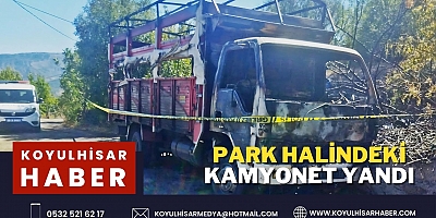 PARK HALİNDEKİ KAMYONET YANDI